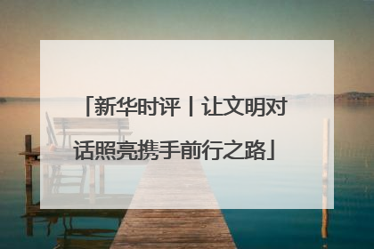 新华时评丨让文明对话照亮携手前行之路