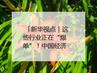 新华视点｜这些行业正在“爆单”！中国经济活力密码