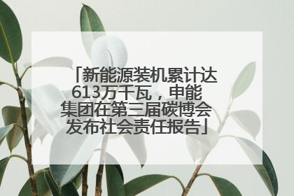 新能源装机累计达613万千瓦，申能集团在第三届碳博会发布社会责任报告