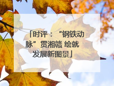 时评：“钢铁动脉”贯湘赣 绘就发展新图景