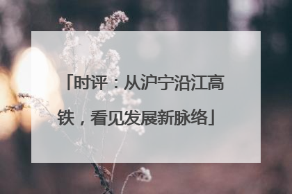 时评：从沪宁沿江高铁，看见发展新脉络