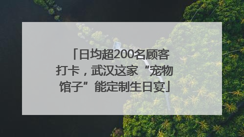 日均超200名顾客打卡，武汉这家“宠物馆子”能定制生日宴