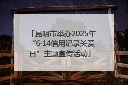 昆明市举办2025年“6·14信用记录关爱日”主题宣传活动