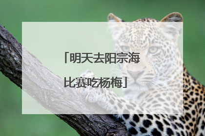 明天去阳宗海比赛吃杨梅