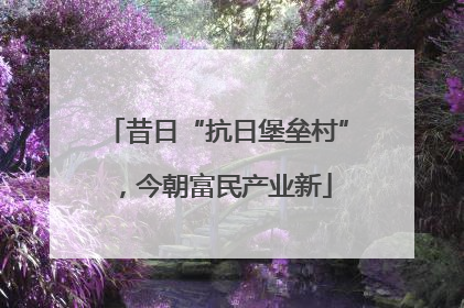 昔日“抗日堡垒村”，今朝富民产业新