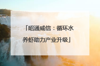 昭通威信：循环水养虾助力产业升级