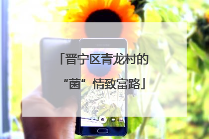 晋宁区青龙村的“菌”情致富路