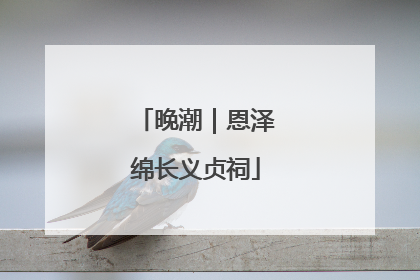 晚潮｜恩泽绵长义贞祠
