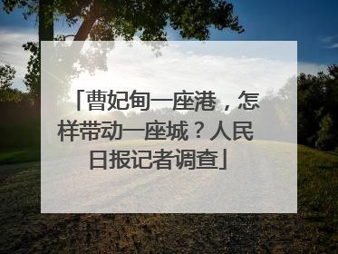 曹妃甸一座港，怎样带动一座城？人民日报记者调查