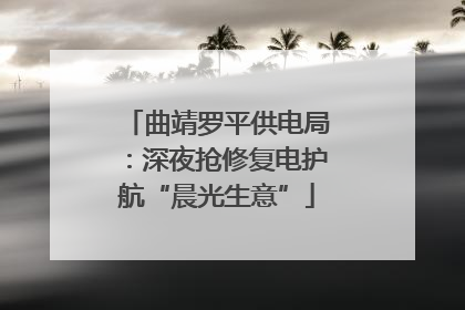 曲靖罗平供电局：深夜抢修复电护航“晨光生意”