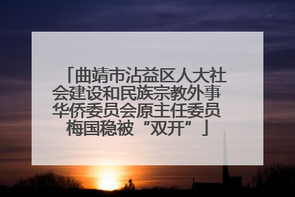 曲靖市沾益区人大社会建设和民族宗教外事华侨委员会原主任委员梅国稳被“双开”