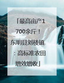 最高亩产1700余斤！东明县刘楼镇：高标准农田增效增收