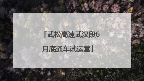 武松高速武汉段6月底通车试运营