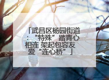 武昌区杨园街道：“特殊”踏青心相连 架起包容友爱“连心桥”