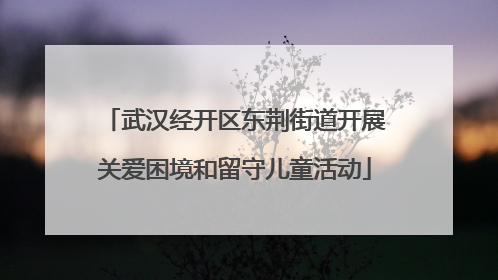 武汉经开区东荆街道开展关爱困境和留守儿童活动