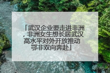武汉企业要走进非洲，非洲女生想长居武汉 高水平对外开放推动鄂非双向奔赴