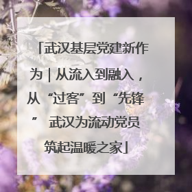 武汉基层党建新作为｜从流入到融入，从“过客”到“先锋” 武汉为流动党员筑起温暖之家