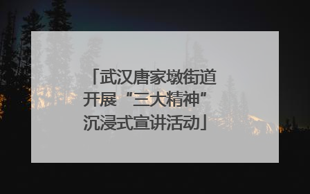 武汉唐家墩街道开展“三大精神”沉浸式宣讲活动