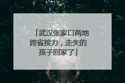 武汉张家口两地跨省接力，走失的孩子回家了