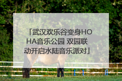 武汉欢乐谷变身HOHA音乐公园 双园联动开启水陆音乐派对