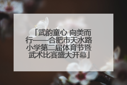 武韵童心 向美而行——合肥市天水路小学第二届体育节暨武术比赛盛大开幕