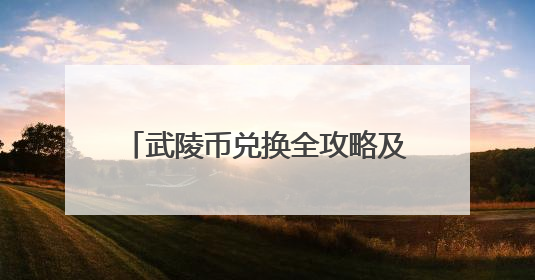 武陵币兑换全攻略及高价值权益收获指南