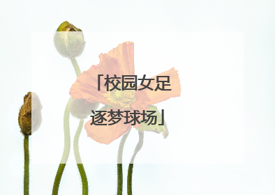 校园女足 逐梦球场