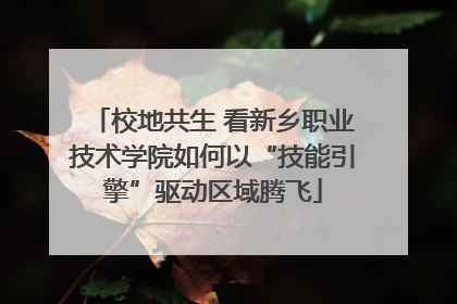 校地共生 看新乡职业技术学院如何以“技能引擎”驱动区域腾飞