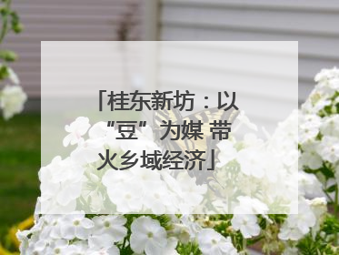 桂东新坊：以“豆”为媒 带火乡域经济