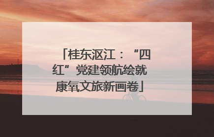 桂东沤江：“四红”党建领航绘就康氧文旅新画卷