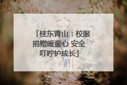 桂东青山：校服捐赠暖童心 安全叮咛护成长