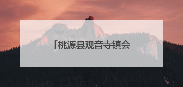 桃源县观音寺镇会人溪村党支部的“48小时”救援纪实