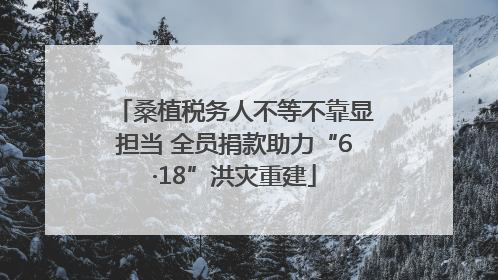 桑植税务人不等不靠显担当 全员捐款助力“6·18”洪灾重建