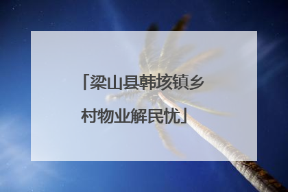 梁山县韩垓镇乡村物业解民忧