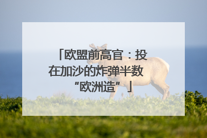 欧盟前高官：投在加沙的炸弹半数“欧洲造”