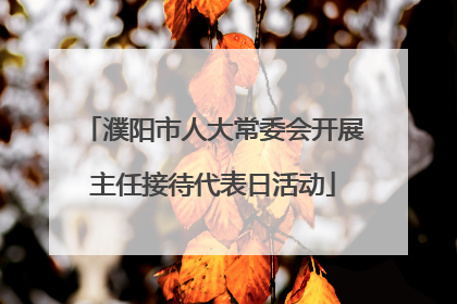 濮阳市人大常委会开展主任接待代表日活动