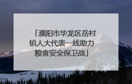 濮阳市华龙区岳村镇人大代表一线助力粮食安全保卫战