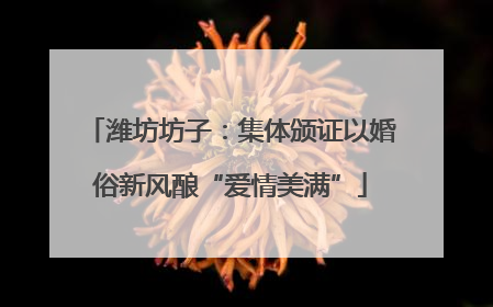 潍坊坊子：集体颁证以婚俗新风酿“爱情美满”