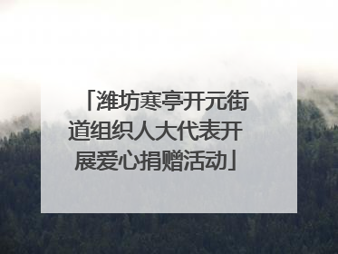 潍坊寒亭开元街道组织人大代表开展爱心捐赠活动
