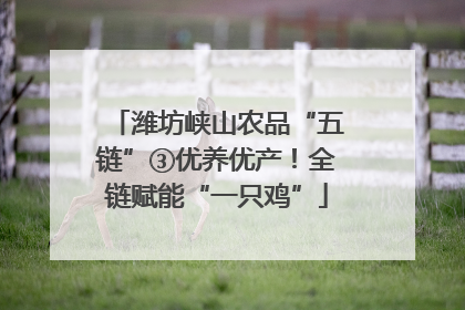 潍坊峡山农品“五链”③优养优产！全链赋能“一只鸡”