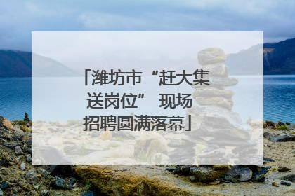 潍坊市“赶大集 送岗位” 现场招聘圆满落幕
