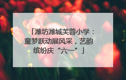 潍坊潍城芙蓉小学：童梦跃动展风采，艺韵缤纷庆“六一”