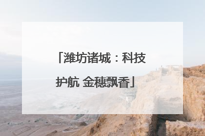 潍坊诸城：科技护航 金穗飘香