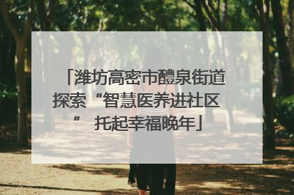 潍坊高密市醴泉街道探索“智慧医养进社区” 托起幸福晚年