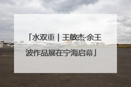 水双重｜王敏杰·余王波作品展在宁海启幕