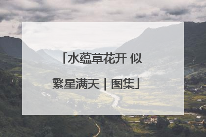 水蕴草花开 似繁星满天｜图集