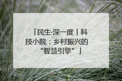 民生·深一度丨科技小院：乡村振兴的“智慧引擎”
