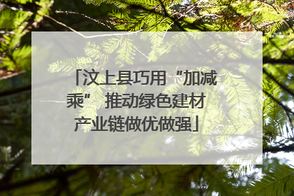 汶上县巧用“加减乘” 推动绿色建材产业链做优做强