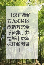 汉正街新安九如片区改造方案全球征集，共绘城市更新标杆新图景