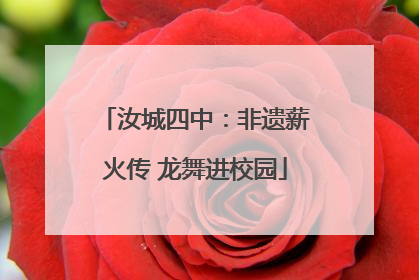 汝城四中：非遗薪火传 龙舞进校园